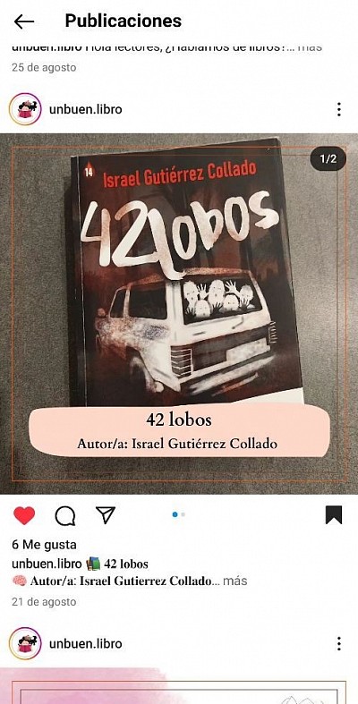 Un buen libro crítica